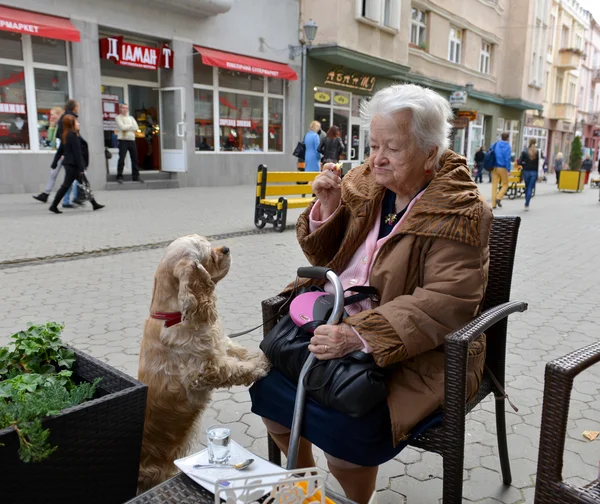 O femeie bătrână care stă în cafenea cu un câine — Fotografie, imagine de stoc