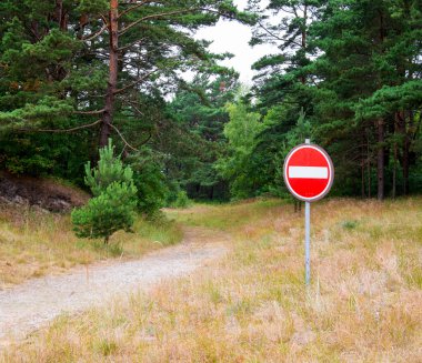 Dur işareti önünde bir orman yolu