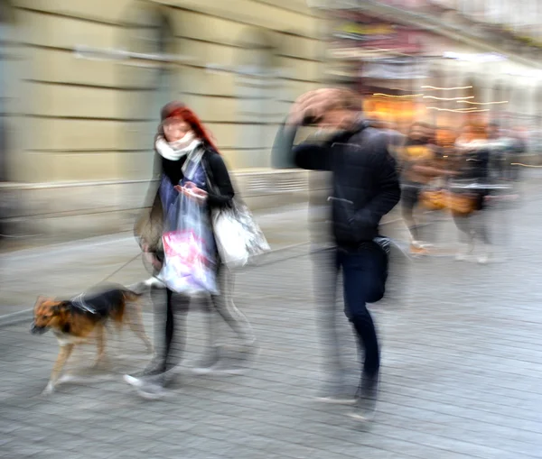 Paar wandelen met een hond — Stockfoto