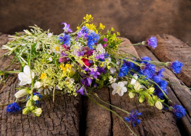 güzel parlak kır çiçekleri buketi