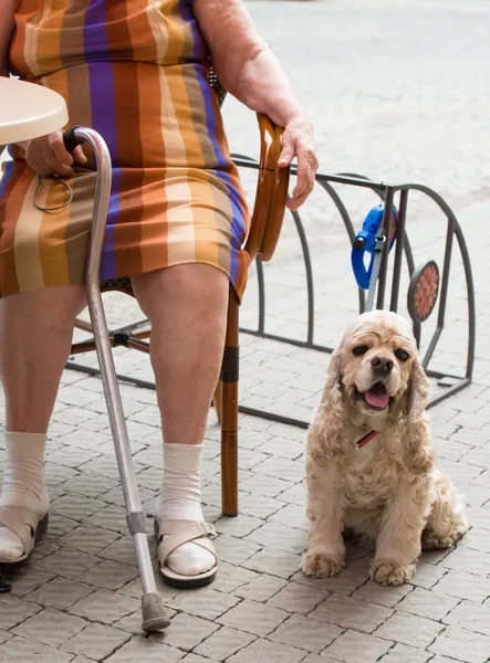 Γυναίκα που κάθεται στο café με ένα σκυλί — Φωτογραφία Αρχείου