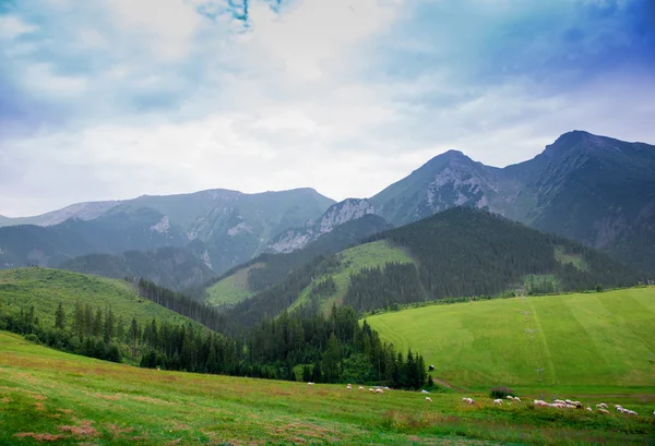 Montagne nel Parco Nazionale Alti Tatra — Foto Stock