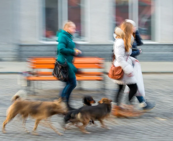 People and dogs — Stock Photo, Image
