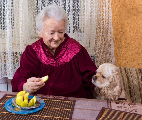 Stará žena a její pes — Stock fotografie