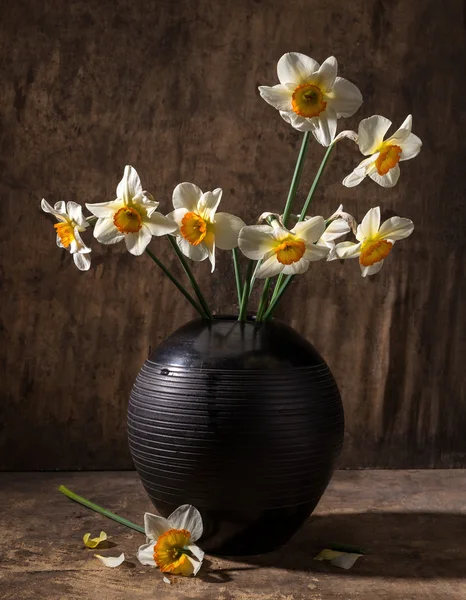 Beautiful daffodils in black vase — Stock Photo, Image