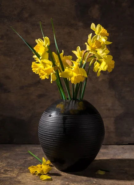 Beautiful daffodils in black vase — Stock Photo, Image
