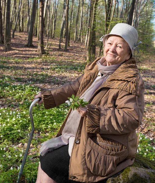 Alte Frau sitzt auf einem Baumstumpf — Stockfoto