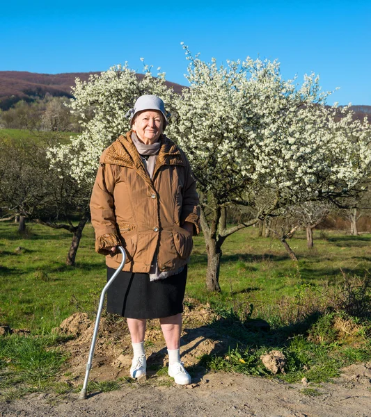 Alte Frau — Stockfoto