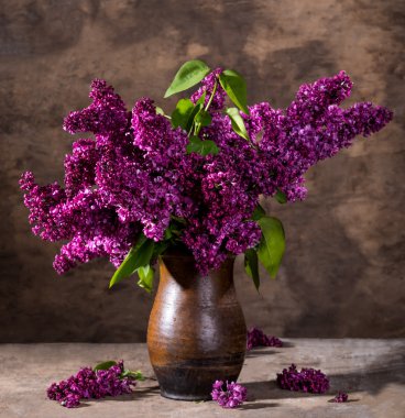 Leylak vazoda çiçek açan dalları