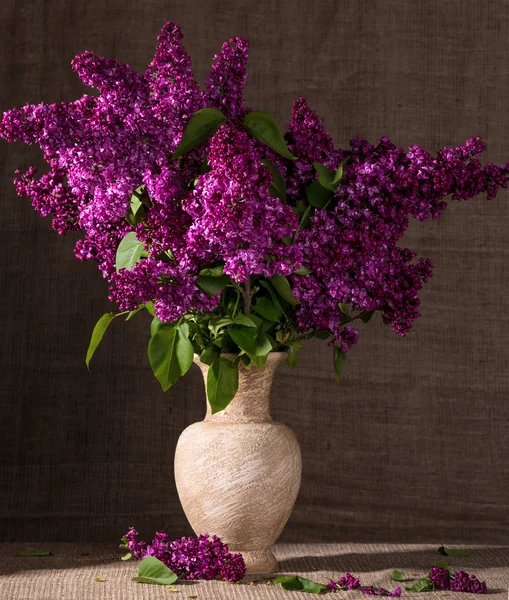 Ramos floridos de lilás em vaso — Fotografia de Stock