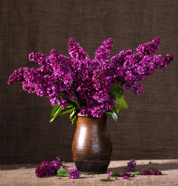 Blooming branches of lilac in vases — Stock Photo, Image