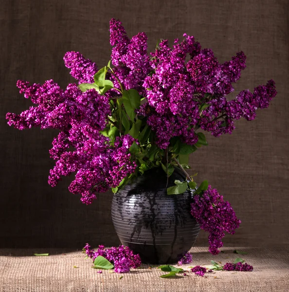 Blooming branches of lilac in vase — Stock Photo, Image