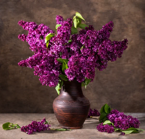 Blooming branches of lilac in vase — Stock Photo, Image