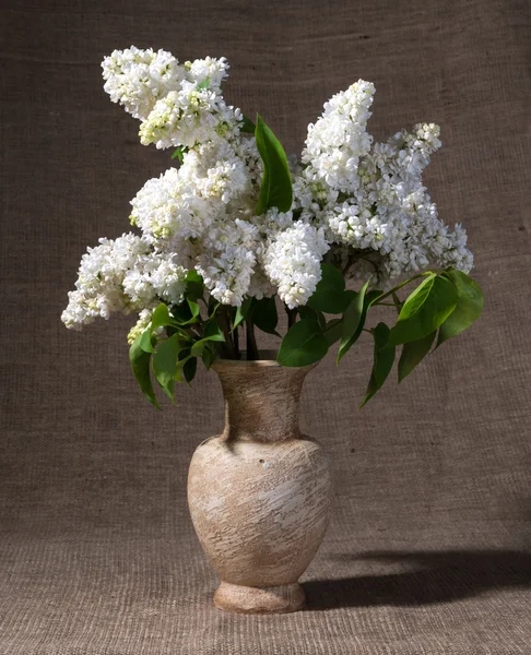 Ramos floridos de lilás em vaso — Fotografia de Stock