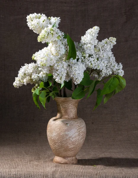 花瓶にライラックの開花枝 — ストック写真