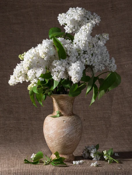 Ramos floridos de lilás em vaso — Fotografia de Stock