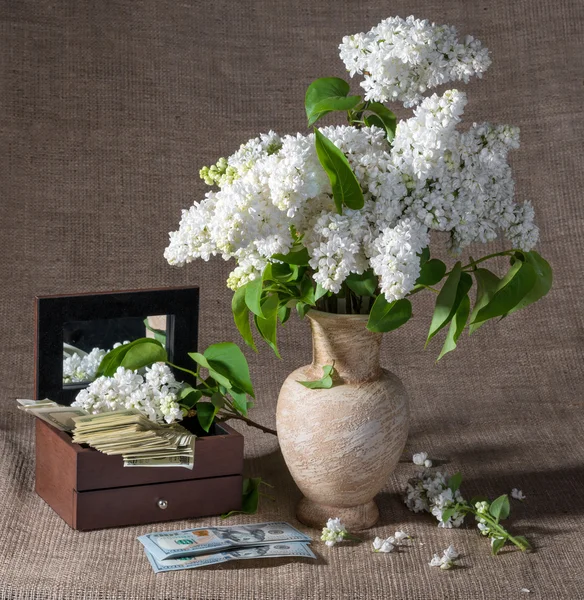 Floração ramos de lilás em vaso e dólares no peito — Fotografia de Stock