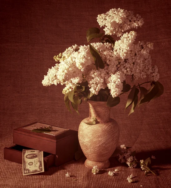 Floração ramos de lilás em vaso e dólares no peito — Fotografia de Stock