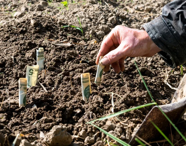 Farmář peníze na výsadbu — Stock fotografie