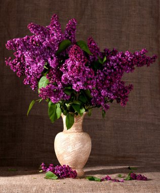  Leylak vazoda çiçek açan dalları