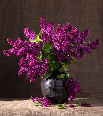  Leylak vazoda çiçek açan dalları