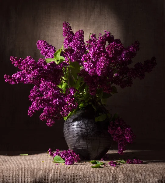 Blooming branches of lilac in vase — Stock Photo, Image