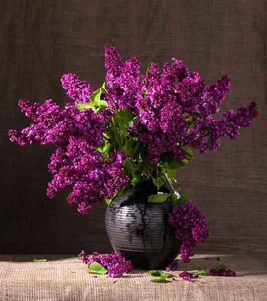 Blooming branches of lilac in vase — Stock Photo, Image