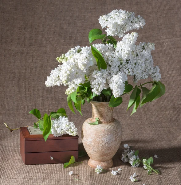 Blooming branches of lilac in vase and chest — Stock Photo, Image