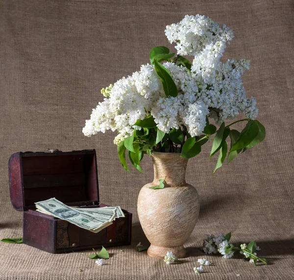 Floração ramos de lilás em vaso e dólares no peito — Fotografia de Stock