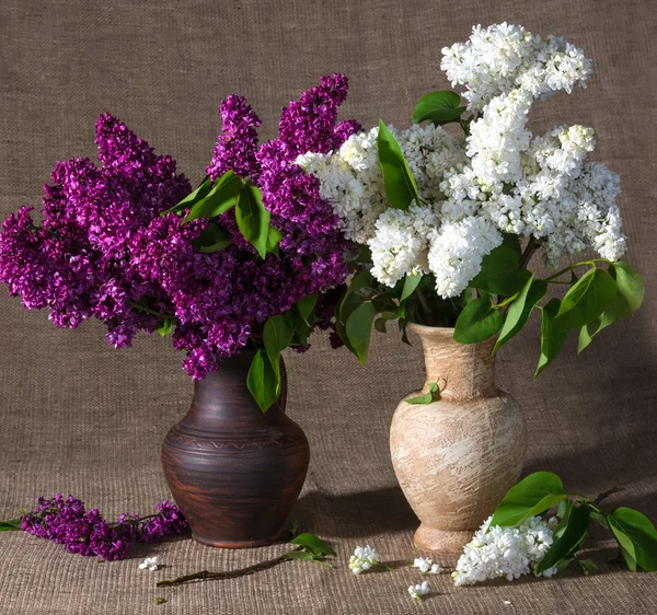 Blooming branches of lilac in vases — Stock Photo, Image