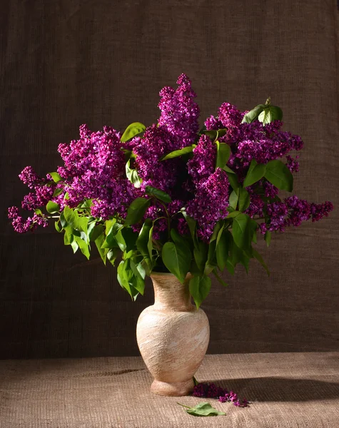 Ramos floridos de lilás em vaso — Fotografia de Stock