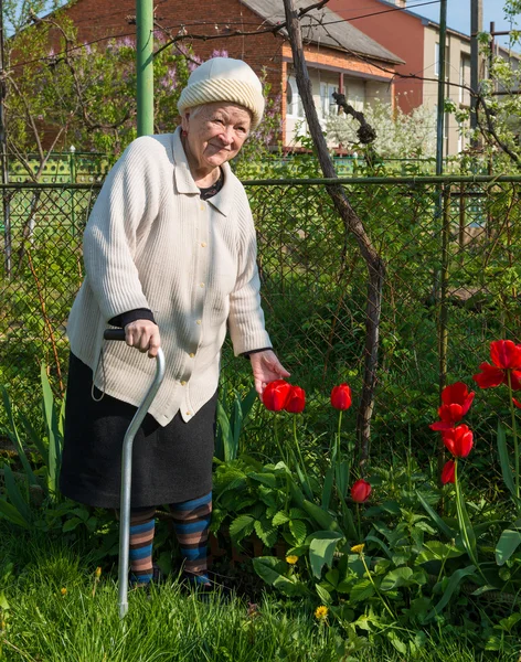 Old woman — Stock Photo, Image