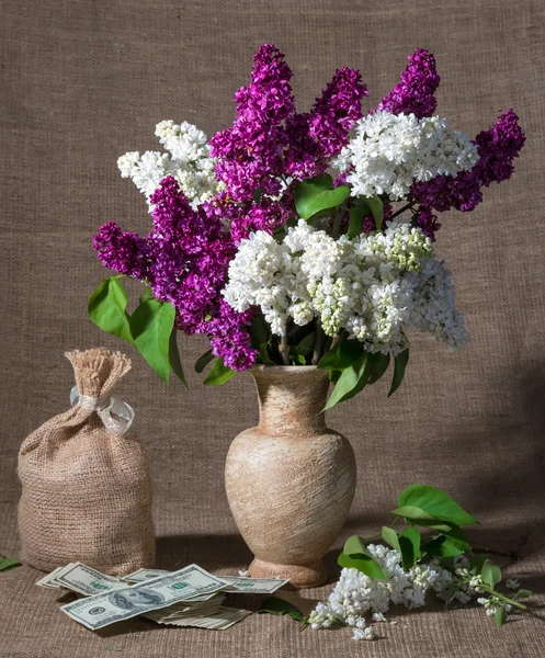 Blooming branches of lilac in vase and dollars — Stock Photo, Image