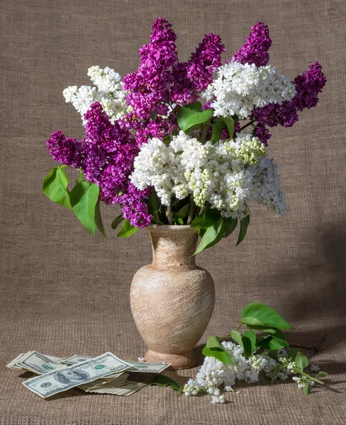 Blooming branches of lilac in vase and dollars — Stock Photo, Image