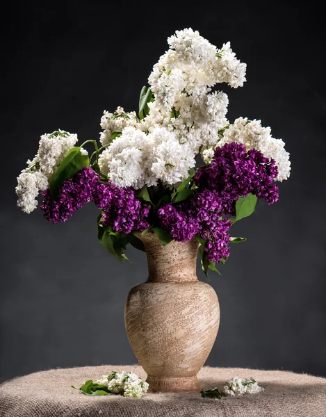 正盛开的丁香插在花瓶里的枝干 — 图库照片