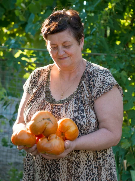Mature woman with tomatoes — Stock Photo, Image