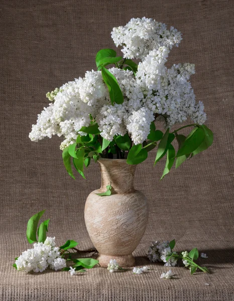 Blooming branches of lilac in vase — Stock Photo, Image