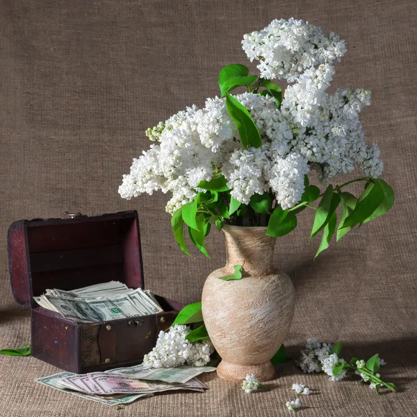 Rami fioriti di lilla in vaso e dollari in petto — Foto Stock