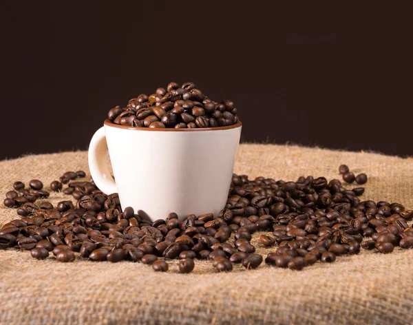 Kopp kaffebönor — Stockfoto