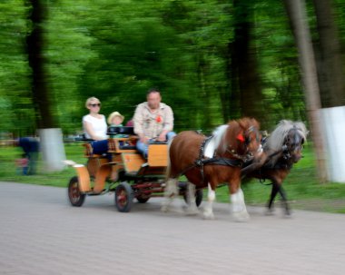 Midilli çizilmiş taşıma yaz Park