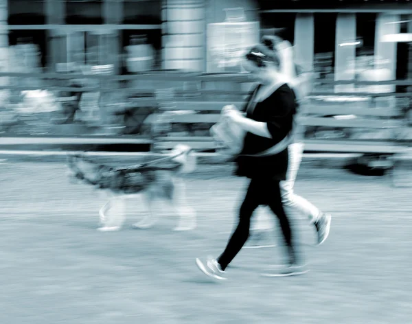 Wandelen met de hond op de straat — Stockfoto