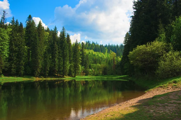 Zomer landschap — Stockfoto