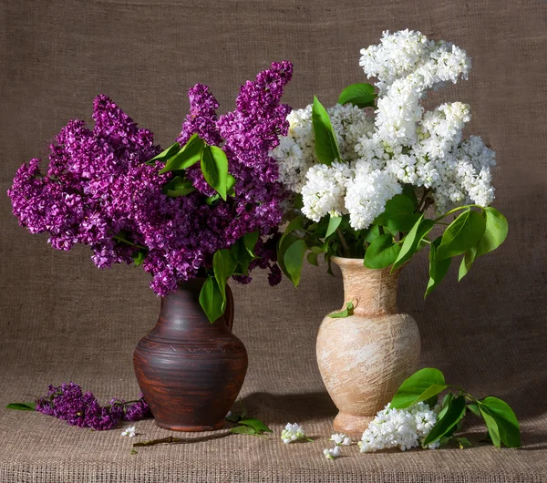 Blooming branches of lilac in vases — Stock Photo, Image