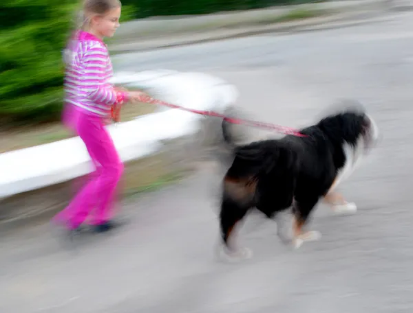 Gå ut med hunden på gatan — Stockfoto