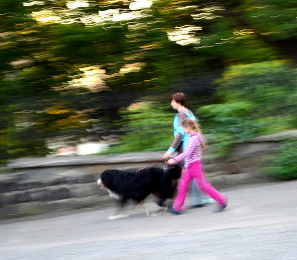 Mor och dotter gå med en hund — Stockfoto