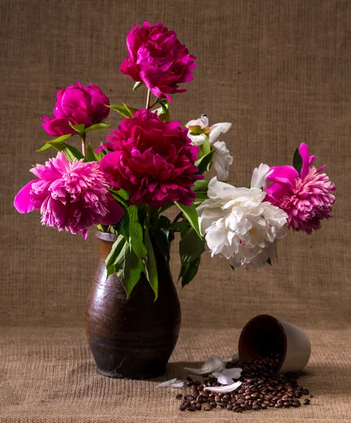 Still life with peonies and cup of coffee beans — Stock Photo, Image