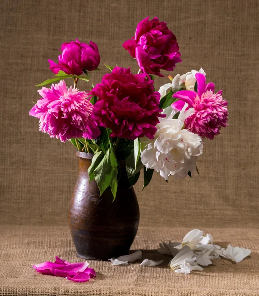 Still life with peonies in vase — Stock Photo, Image