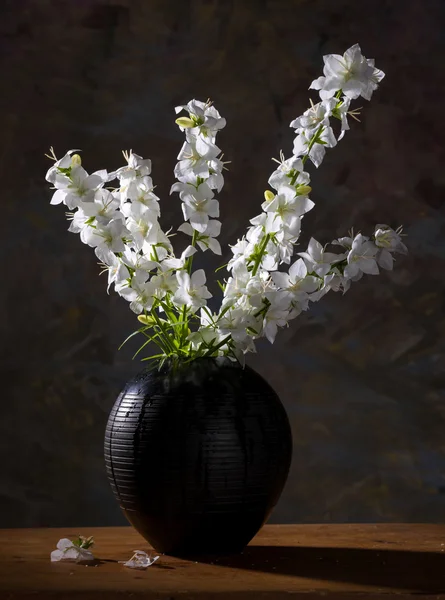 Natureza morta com belas flores brancas — Fotografia de Stock