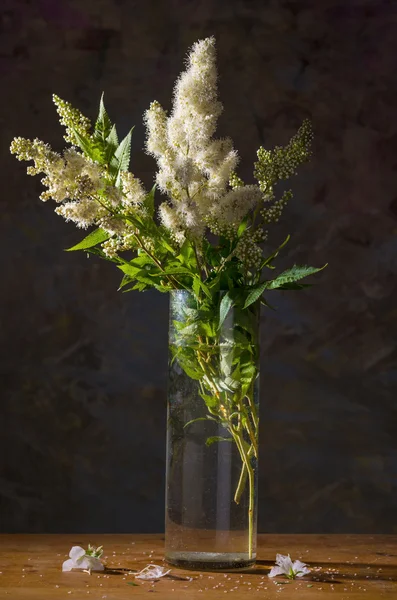 Bodegón con hermosas flores blancas —  Fotos de Stock