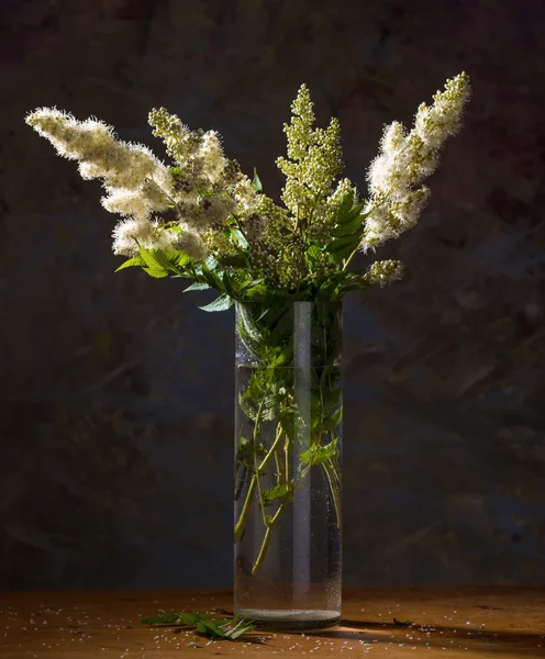 Stilleven met prachtige witte bloemen — Stockfoto
